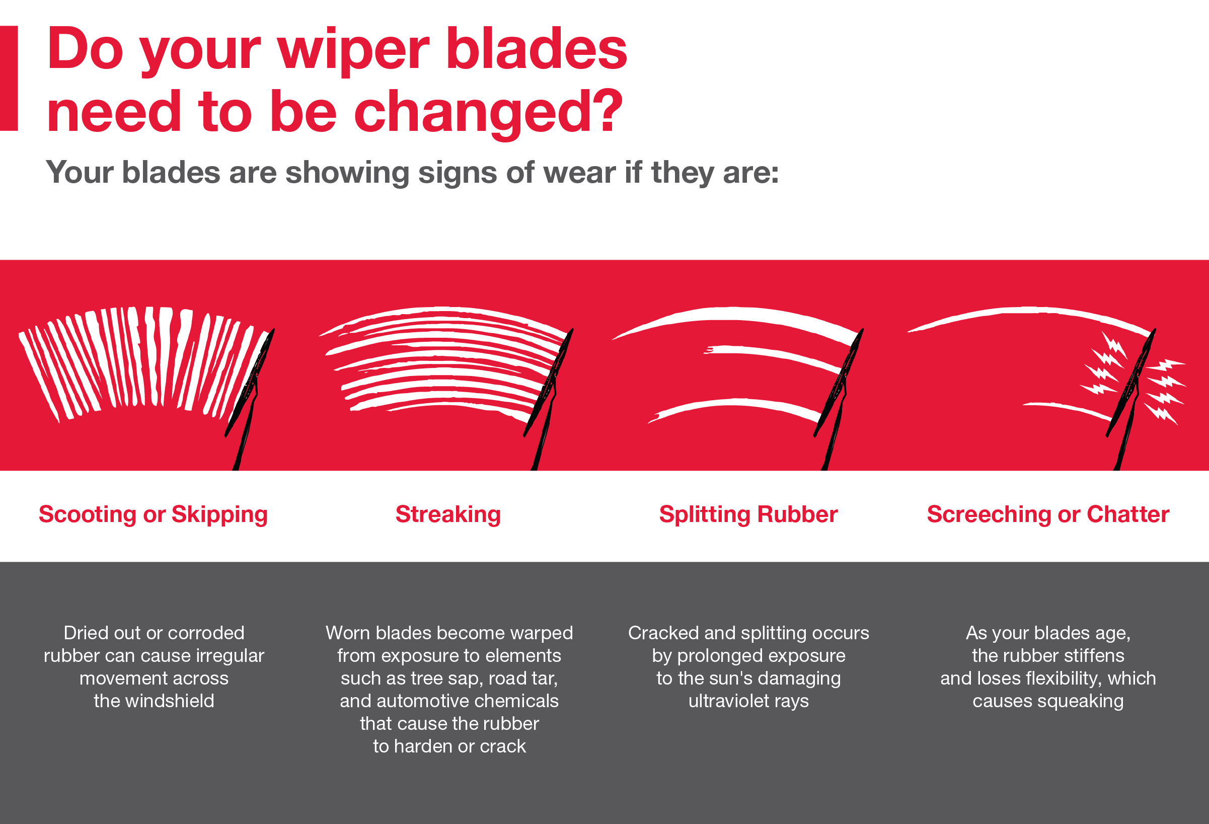 Do your wiper blades need to be changed | Daytona Toyota in Daytona Beach FL